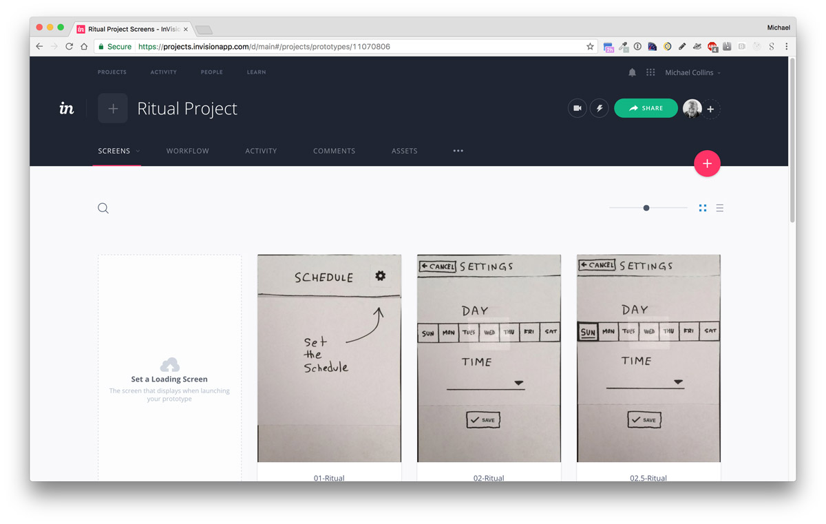 Screenshot: View main project page